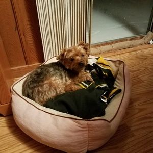 Meet your Posher, Sandy